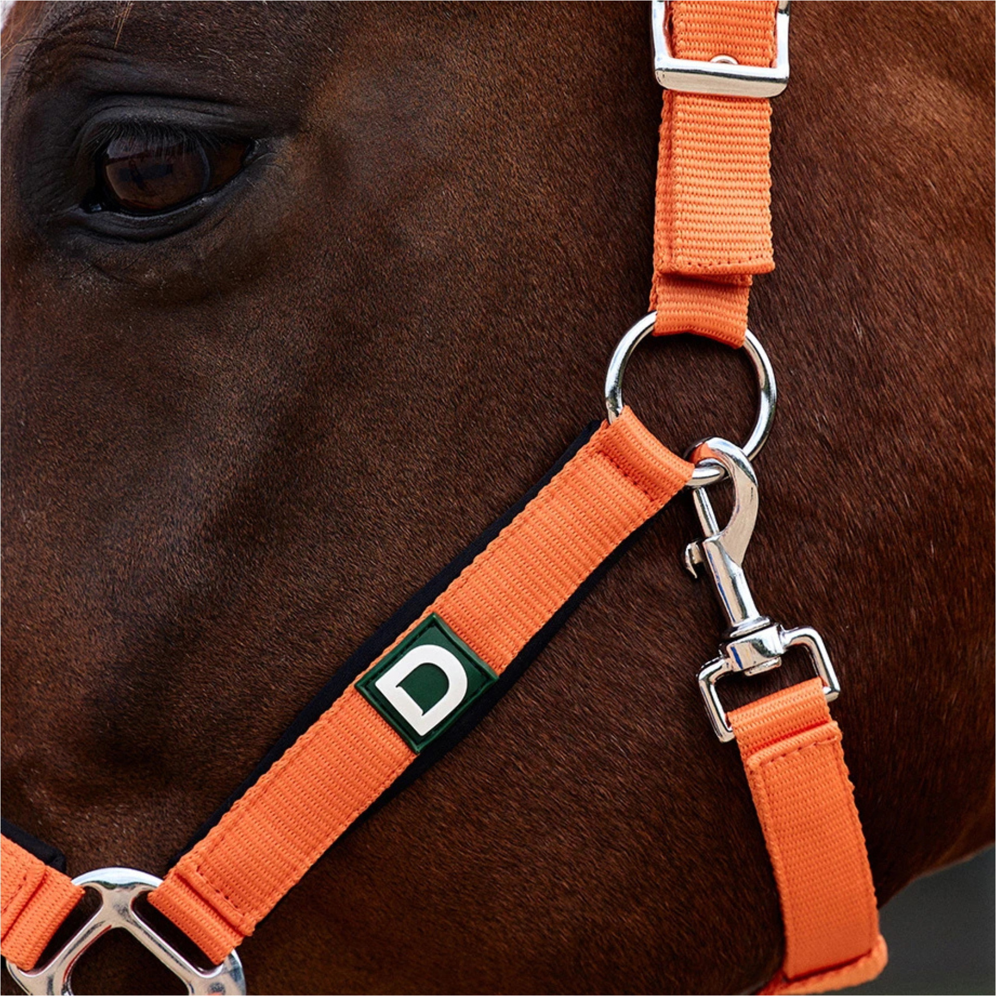 2026 Dublin Neo Komfort Halfter 1031035 - Orange
